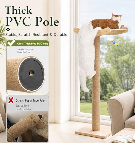 Image of Window Cat Perch with Scratching Posts, 46 inch Wood Tree Bed for Maine Coon Big Cats Perching and Lounging, Mounted with 3 Strong Suction Cups (Wood Platform)