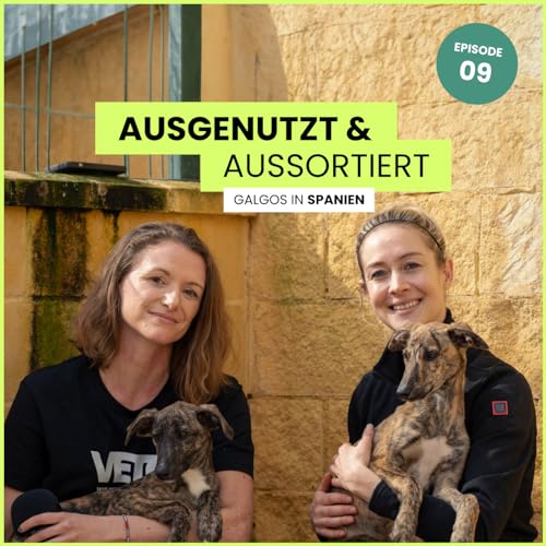 Ausgenutzt und aussortiert &ndash; Galgos in Spanien