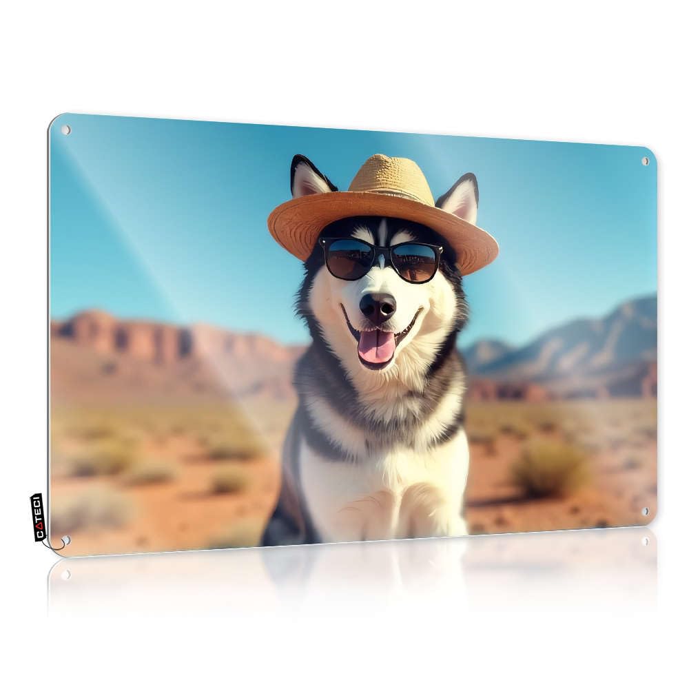 Sujd Men's Colour Decaor Street Art - A Happy Husky Wearing A Hat In The Desert. Letters Rustic Wall Hanging(30X40cm)