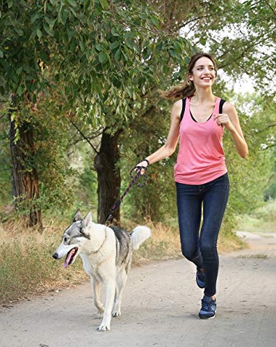 Kruz Reflective Dog Leash - KZROPE5060-02L - Soft Silicone Grip - Click & Lock Snap - Pet Walking, Running, Training - Heavy-Duty, Durable Rope - Security, Control and Comfort - Blue - 1/2" x 5 FT - Thumbnail 7