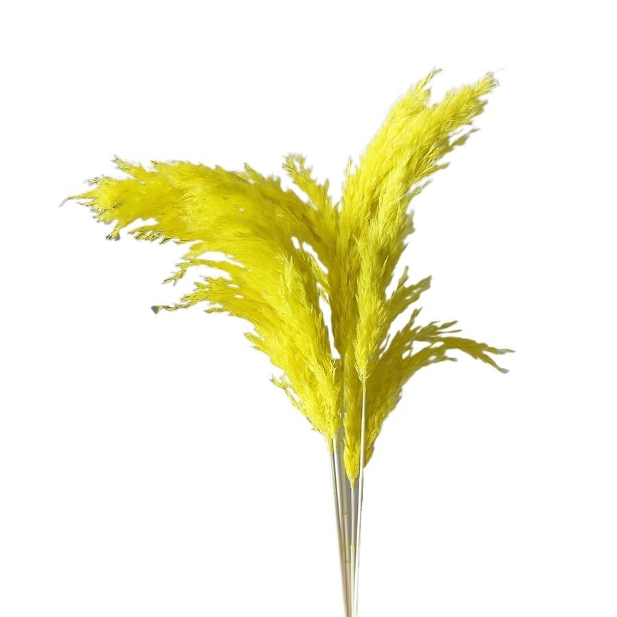 Pampas Grass Large 45cm Natural Fluffy Pampas Dried Multi Color miniatura 1