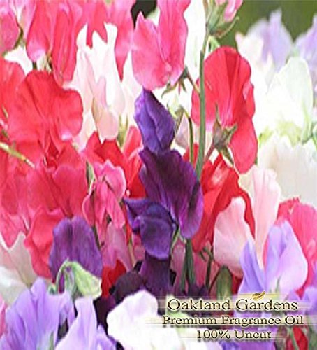 BULK Fragrance Oil - SWEET PEA - SWEETPEA Fragrance Oil - Delicate scent of sweet peas along the garden fence. Very feminine and old-fashioned, with a peachy undertone - By Oakland Gardens (060 mL - 2.0 fl oz Bottle)