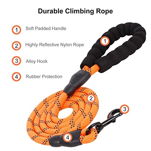 DECDEAL Corda refletiva para cães coleira com alça acolchoada 150 cm para cães pequenos e médios