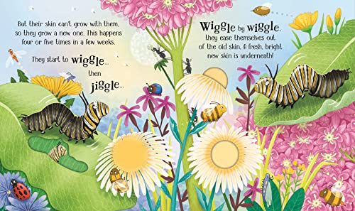 One Little Butterfly (Life Cycles)