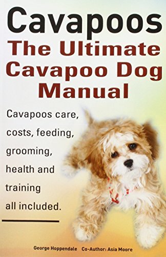 How long do cavapoo dogs live
