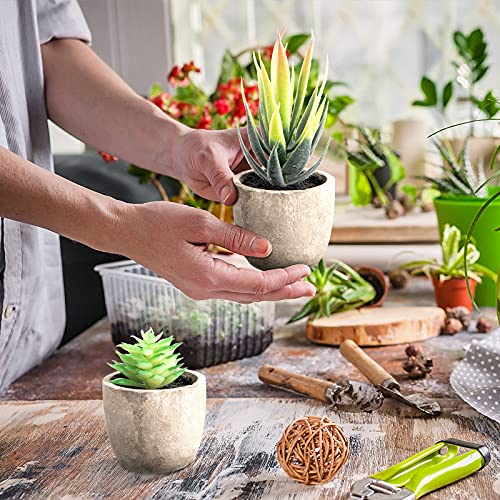 Jutom 32 Pieces Mini Artificial Succulents Realistic Artificial Succulent Plants Colorful Faux Succulents Mini Small Cactus Plants For Garden Flower Home Bedroom Kitchen Living Room Decorations #TOP5