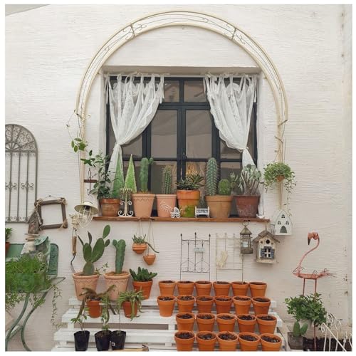 Arche décorative en Fer forgé haut de gamme pour plantes - 3