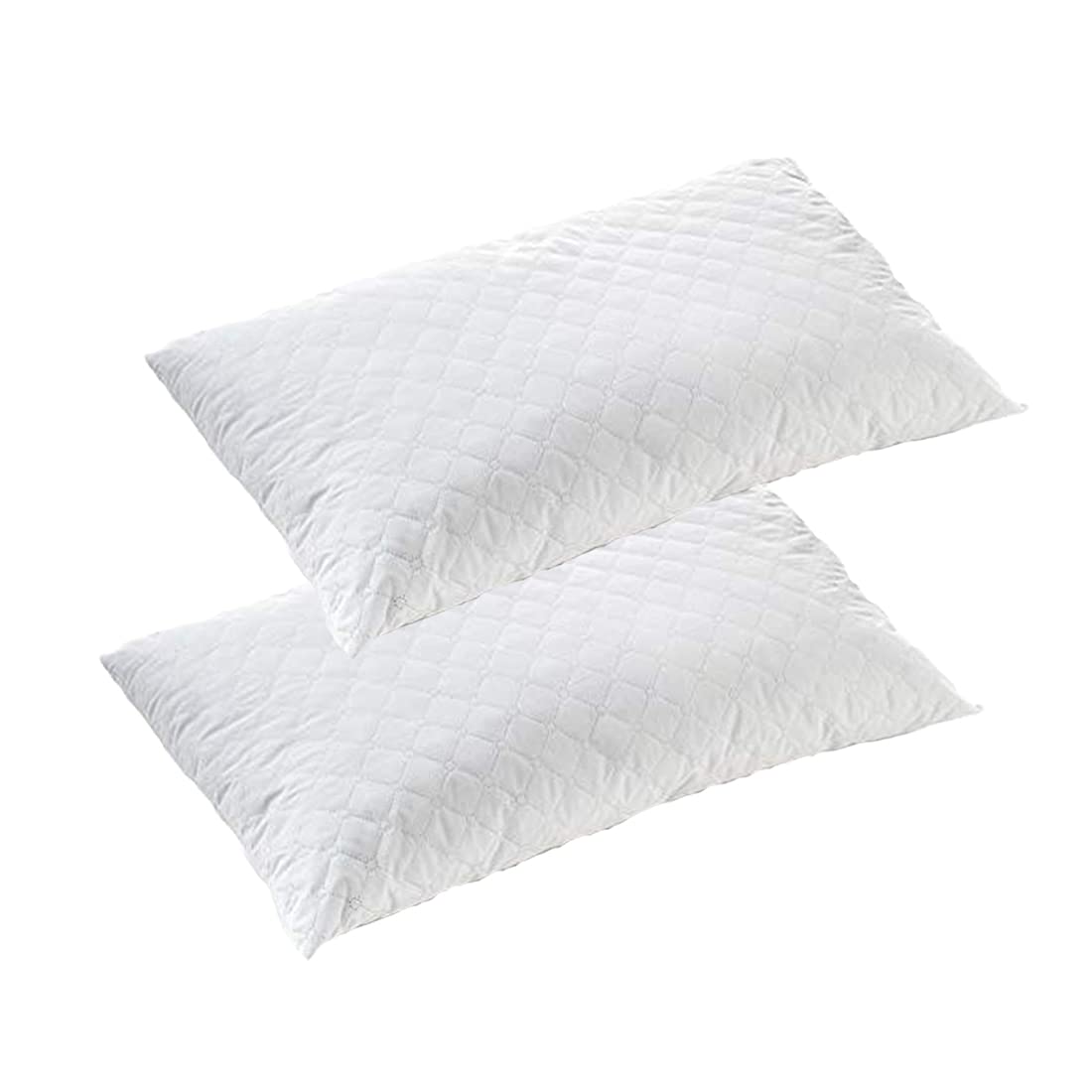 Coussin mémoire de forme anti-transpirant et anti-acariens FitYo lot de 2 oreillers 70x50