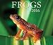 Frogs 2016
