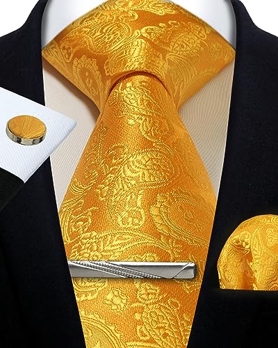 Image of Paisley Floral Mens Tie Formal Necktie Pocket Squares Ties Clips Cufflinks Classic for Men Set