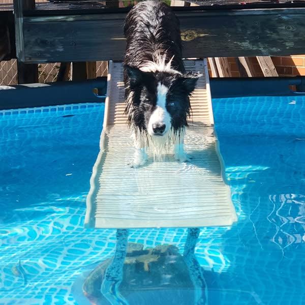 PetStep Dog Ramp for Pool (Long Leg, Khaki/Beige)