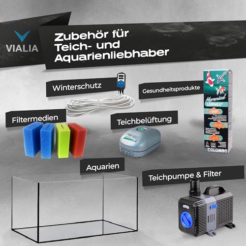 VIALIA Aquarium 60x30x30 cm 54 Liter | Glasbecken mit diamantgeschliffenen Kanten | Stoßfest verklebt & kratzfestes Floatglas | Für Süß- & Salzwasser | Inkl. eingeklebter Unterlage