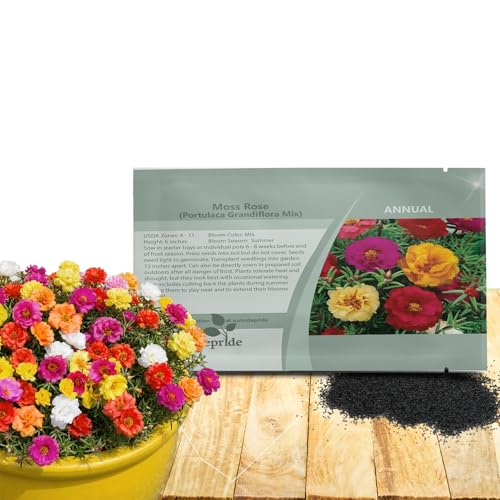 Outsidepride Mixed Moss Rose Seeds - 5000 Pcs Annual, Drought & Heat Tolerant, Pollinator Friendly Ground Cover Seeds for Planting w/Vibrant Blooms & Succulent Foliage, Ideal for Xeriscaping