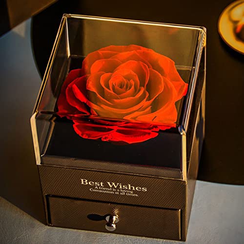 Red Rose Box With 925 Sterling Silver Necklace,Forever Real Rose Jewelry Box With I Love You Necklace 100 Languages,Preserved Flower Protection Pendant For Mothers Day Gifts, Enchanted Rose For Her. #TOP7