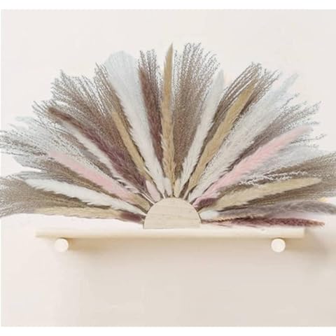 GHY Decor Natural Pampas Grass Boho Wall Fan-Shape Dried Real Shelf Table Cute Home Wood Hanging Flower Arts for DIY Rustic Trendy Minimalist Farmhouse Room Wedding Décor, 16 inch Cover
