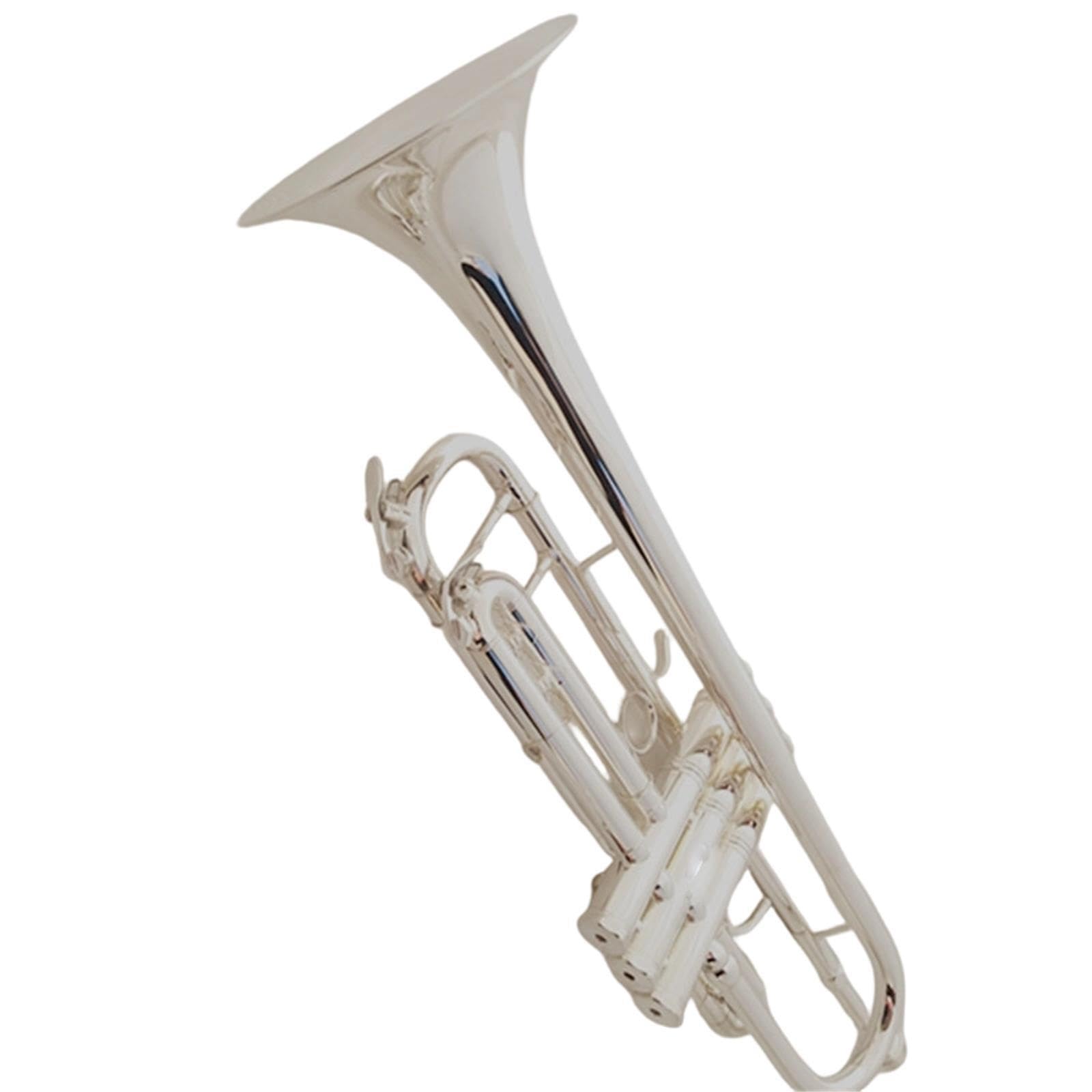 Professional Trumpet Trompeta profesional en si bemol