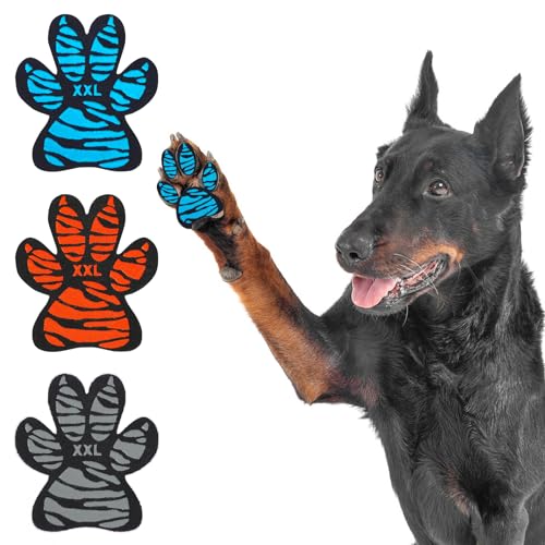 Paw Grips for Dogs The 15 best products compared Wild Explained