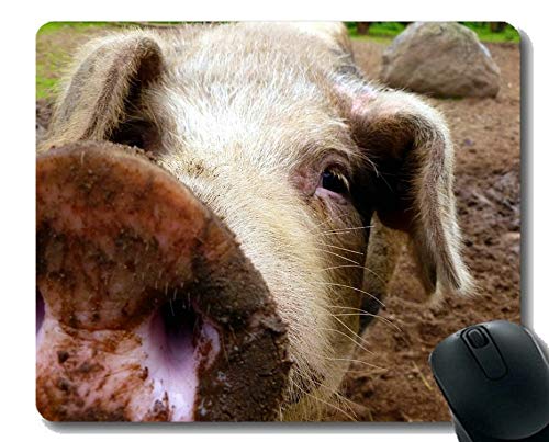 Piggy Rich Bank in Front Mouse Mats,Pig Gaming Mouse Pad Custom,