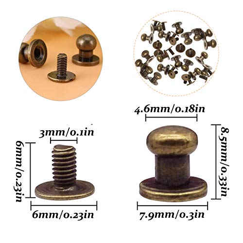 Chiodi rivetti vite in bronzo 100 pezzi