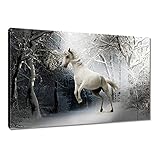  Tableau imprimé sur toile 60 x 40 cm Motif tête blanche n°H837M_1E