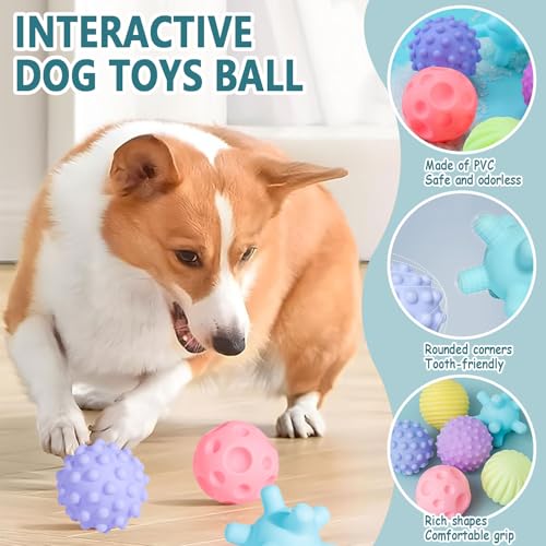 Favuit Hundeball Unzerstörbar, 6 Stück Hundespielzeug Ball Set Quietschend Dauerhaftes Jagdbälle Hunde Spielzeugbälle Schwimmfähig für Aggressive Kauer Kleine und Mittelgroße Hunde
