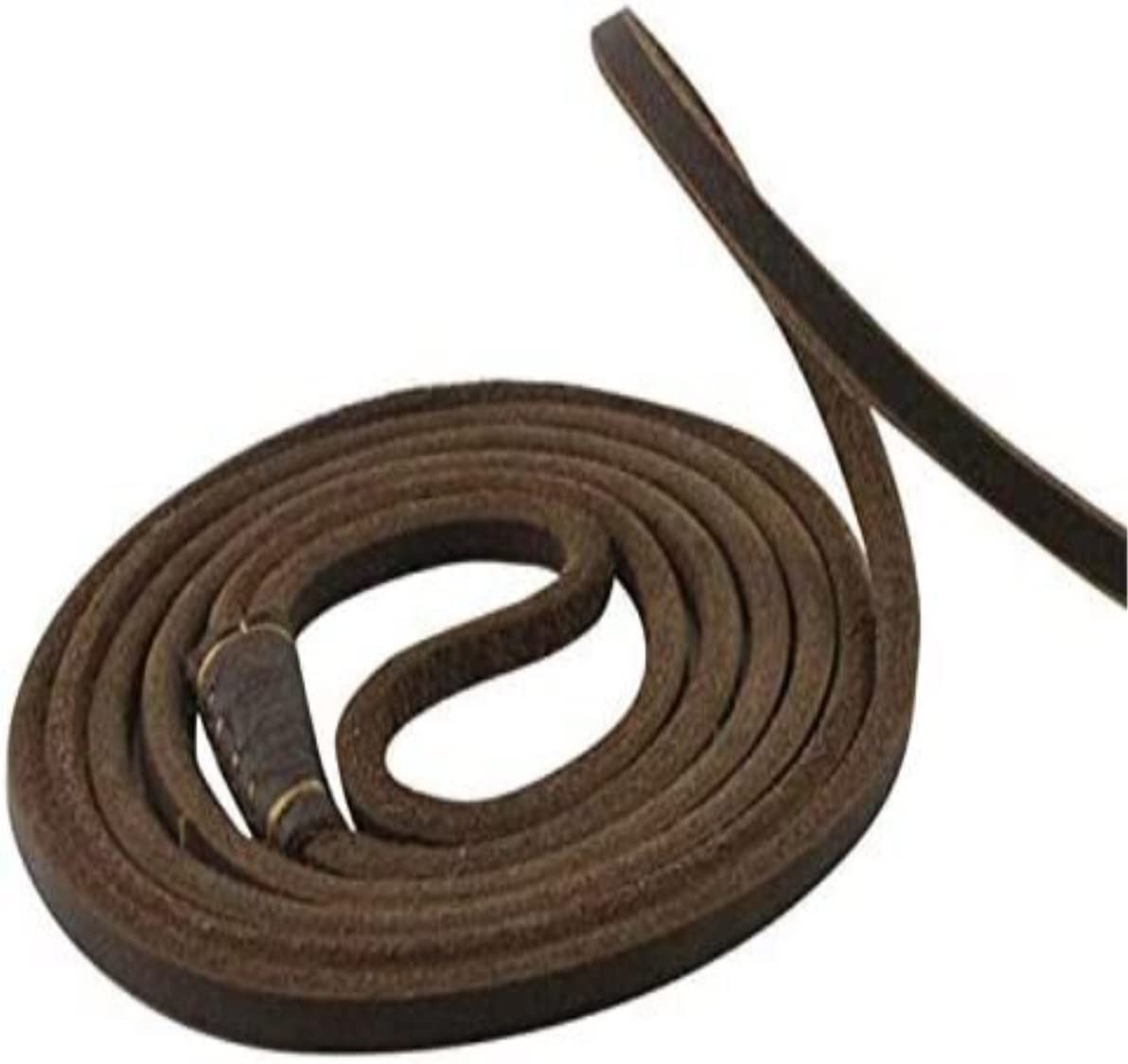 Correa Perro Correr Correa de Cadena para Perro, Collar Deslizante para Mascotas, Correas para Caminar, Cuerda Cuero Genuino para Perros, tracción para Cachorros Antideslizantes Reforzada