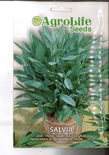 SEMI SEMENTI DI SALVIA OFFICINALIS IN BUSTINA