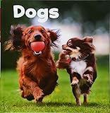 Dogs