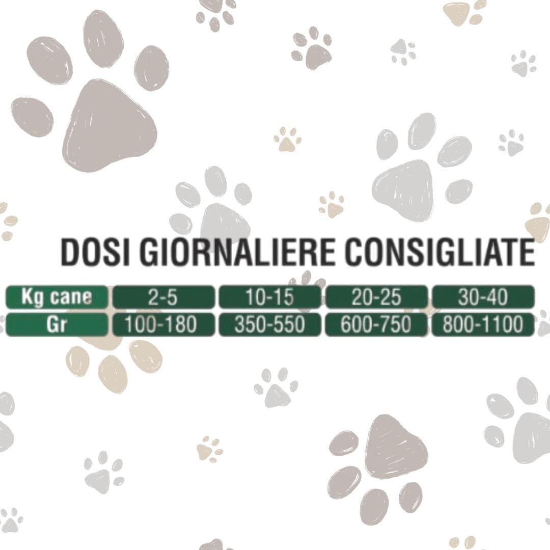 Húmedo perro rústico, alimento completo para perros cachorros de todos los tamaños y razas, altamente digerible, sabor cordero con arroz, 12 bandejas de 100 gramos cada una.