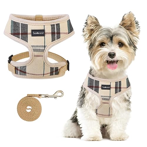 SCENEREAL Puppy Dog Harness with Leash Set for Small Medium Sized Dogs, Soft...