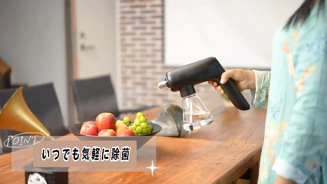 Amazon.co.jp: Holdwell 『高效オゾン・ナノミスト噴霧器』コードレス