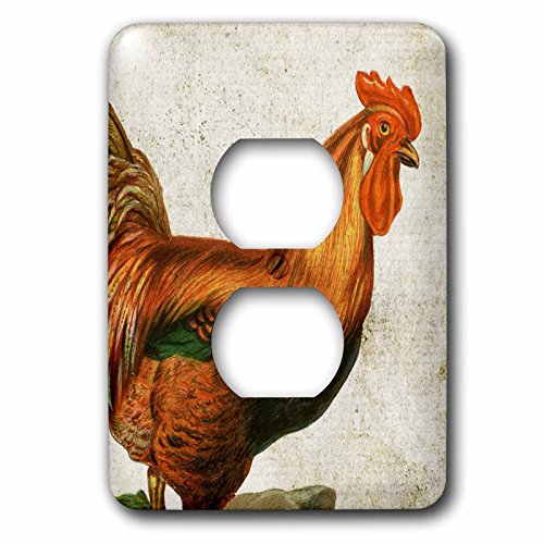 Cache 2 prises Multicolore 3dRose interrupteur plaque de decoration maison