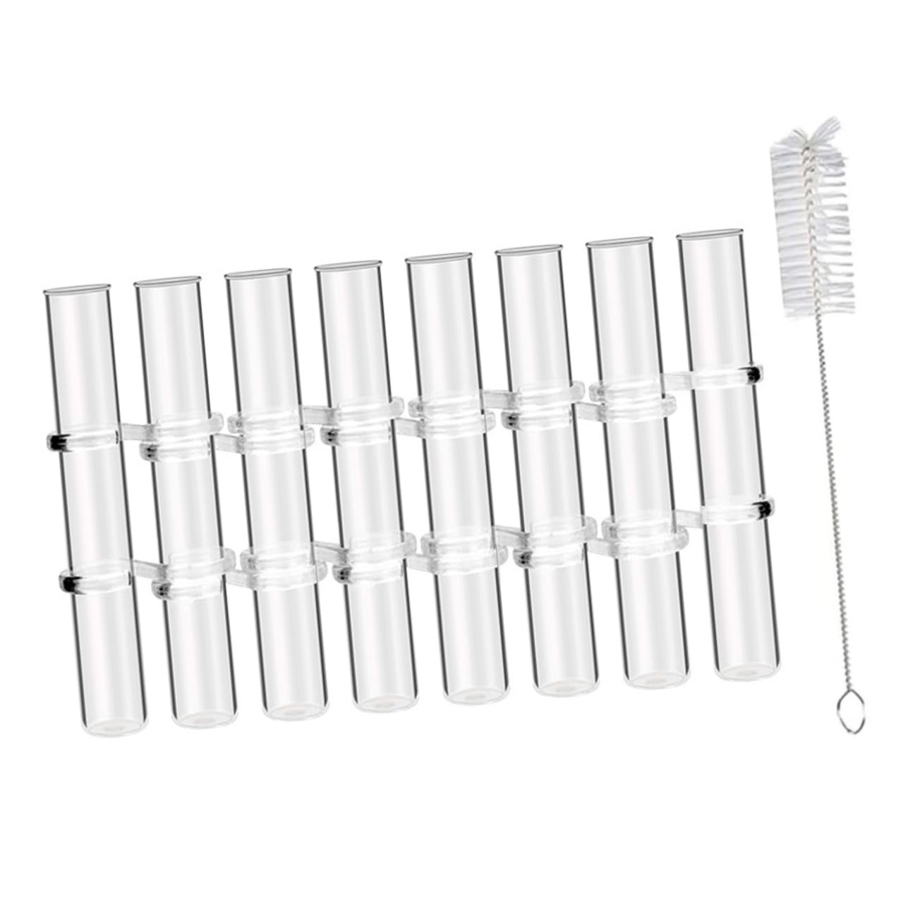 Vase Hydroponique Verre Transparent Tube de Propagation pour Plantes avec Support pour Culture Pot ou Terrarium