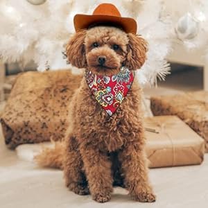 KUDES-2-Pieces-Funny-Pet-Costume-Accessories-Set-Cat-Small-Dog-Cowboy-Hat-with-Adjustable-Elastic-Chin-Strap-and-Bandana-for-Birthday-Christmas-Halloween-Holiday-Party-Cosplay-and-Daily-Wearing - Cucciolini Doodles   KUDES-2-Pieces-Funny-Pet-Costume-Accessories-Set-Cat-Small-Dog-Cowboy-Hat-with-Adjustable-Elastic-Chin-Strap-and-Bandana-for-Birthday-Christmas-Halloween-Holiday-Party-Cosplay-and-Daily-Wearing