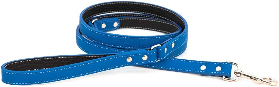 Auburn Leathercrafters Tuscany Dog Leash Color: Purple, Size: 0.5" x 72"