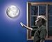 Moon In My Room Remote Control Wall Décor Night Light - Uncle Milton
