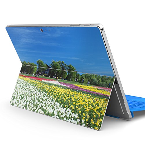 igsticker Surface pro7 (2019) pro6 pro2017 pro4 p XLV[ T[tFX m[gubN m[gp\R Jo[ P[X tB XebJ[ ANZT[ ی 009771 t[  ʐ^