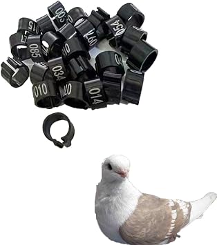 Numbered Pigeon Leg Band Poultry Leg Ring Birds Chicken Quail Dove Pigeon Foot Ring 001-5009 Colors Black 001-100