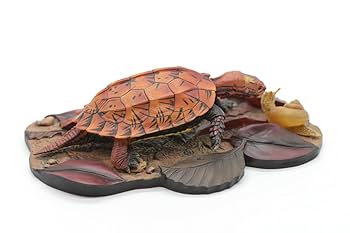 Amazon.co.jp: 海洋堂Naturetales「リュウキュウヤマガメ（琉球