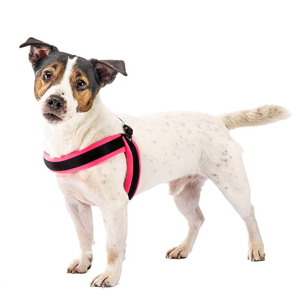 Ferplast Pettorina Agila Fluo Per Cani Media Taglia - Imbottita, Regolabile E Comfortevole - Giallo Fluorescente - Foto 2