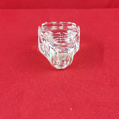 Modèle dentaire transparent de chat pour cabinet vétérinaire et étude anatomique - 3