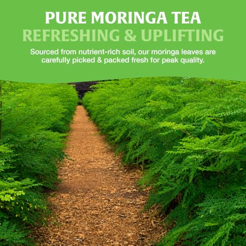 Image of HANDPICK Organic Moringa Tea (40 Tea Bags) Pure Moringa Leaves from India