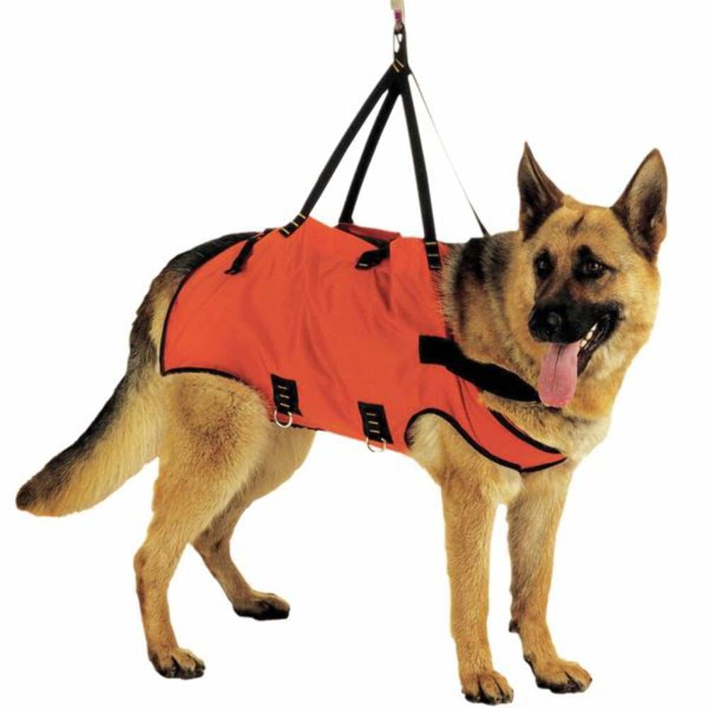 Harnais Type Gilet pour Chiens Taxi Harnais pour Chiens de Sauvetage Taille 2