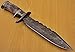 REG-1322 Handmade Damascus Steel 14.50 Inches Hunting Knife (Color/case/shape may vary slightly)