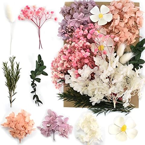 Fleurs Séchées Naturelles Tibapla Cover