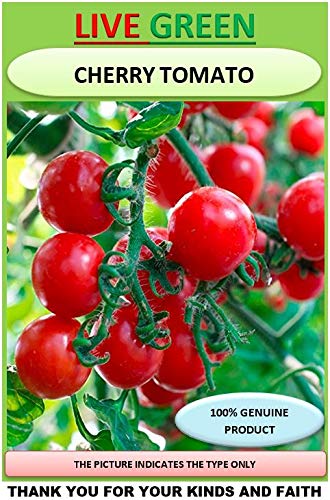 Image of Live Green Vegetable Seeds | Cherry Tomato Seeds | F1 Hybrid | Organic Seeds | For Home & Kitchen Garden | Pack of 1 pkt 60-80 Seeds