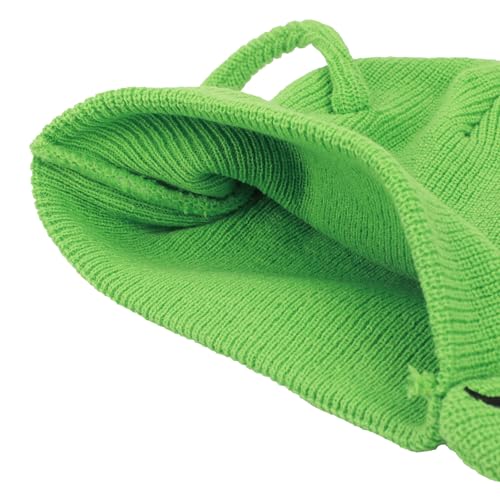 Image of Dragon Ball Z Piccolo Head with Ears and Antennas Knit Beanie