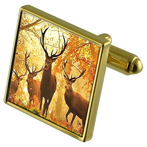 Gemelos de oro Forrest Ciervo y clip de corbata con cristales accesorios traje hombre