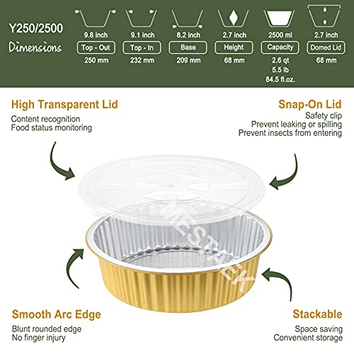 Mestaek 10" Sturdy Aluminum Foil Pans With Lids (5 Pack), 2X Thicker Heavy Duty For Oven, Grill, Microwavable Cooking Baking, Reusable Freezable Dishwasherable Disposable Foil Pan, Pot, Container 85Oz #TOP4