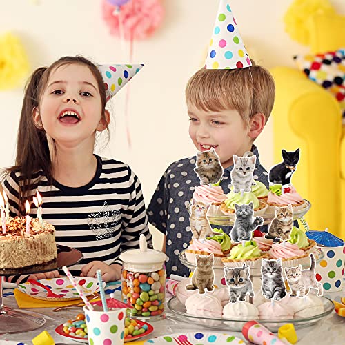 36Pcs Baby Cat Cupcake Toppers Cute Cat Cupcake Toppers Kitten Pet Birthday Party Decoration For Kitty Cat Theme Birthday Party Baby Shower Supplies #TOP6